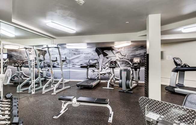 A gym with a variety of equipment including weights and cardio machines.