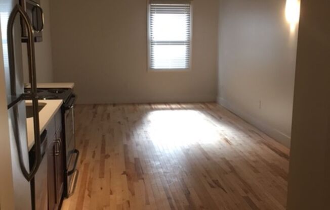 1 bed, 1 bath, 465 sqft, $1,295, Unit Apt 215