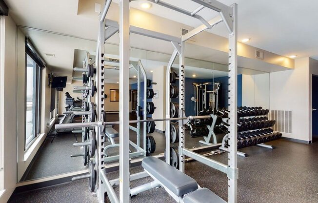 Fitness center with adjustable weight rack, barbell and dumbbell rack, all against mirrored wall