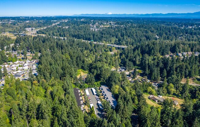 Timber Grove Apartments in Lynnwood, WA