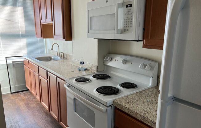 1 bed, 1 bath, $1,125