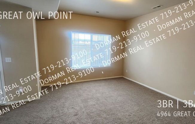 4964 GREAT OWL PT