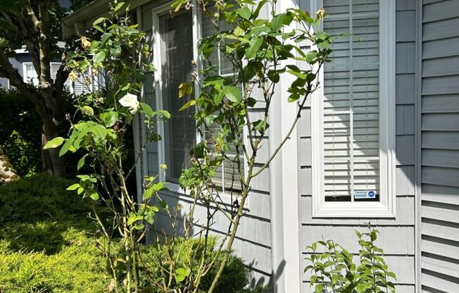 3Bd/1.75Ba Kent House
