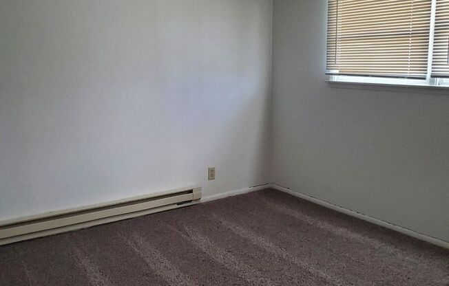 3 beds, 1 bath, $1,595