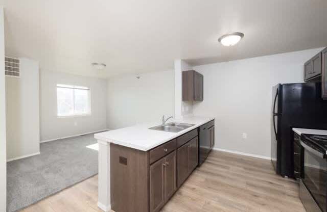 A kitchen with a black refrigerator, sink, and cabinets.