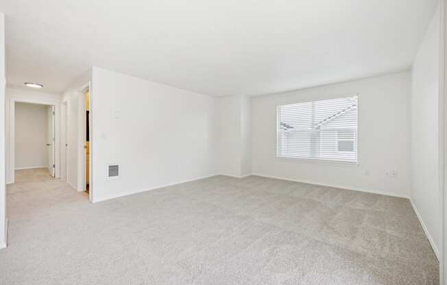 A large, empty room with a carpeted floor and a window with blinds.