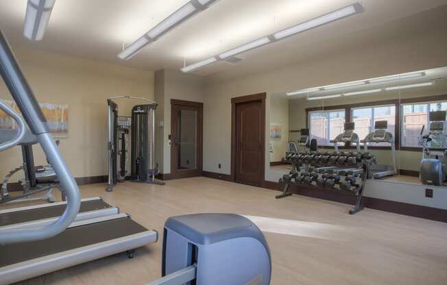 fitness center- free weights