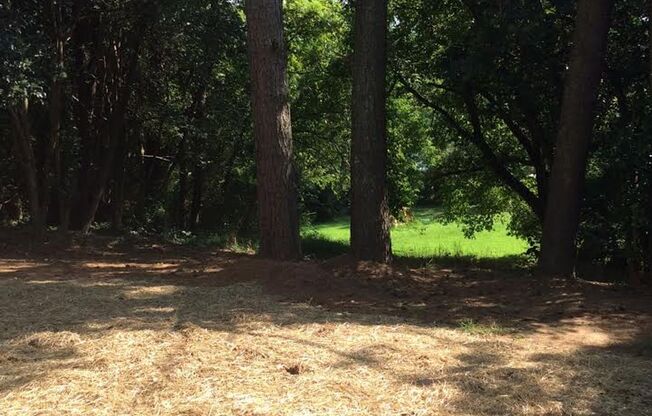 3BR/1.5BA Updated Ranch with Private Backyard in Prime Raleigh Location – $1,600/mo