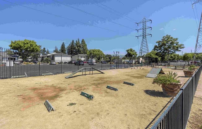 Fenced In Dog Park