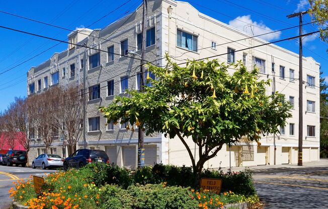 Studio, 1 bath, $1,895, Unit 123