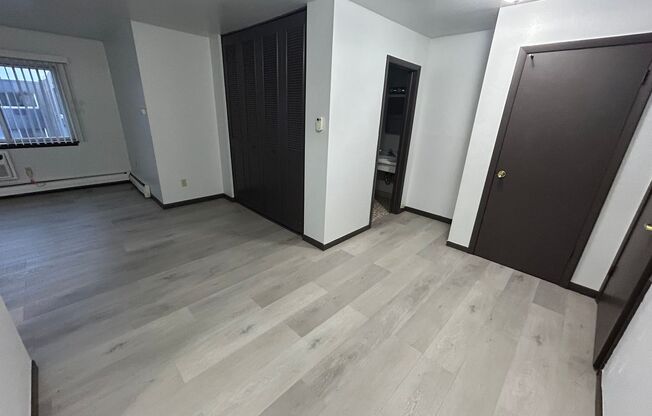 Studio, 1 bath, $875, Unit 320