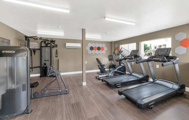 the gym in our apartments has cardio equipment and a lot of windows