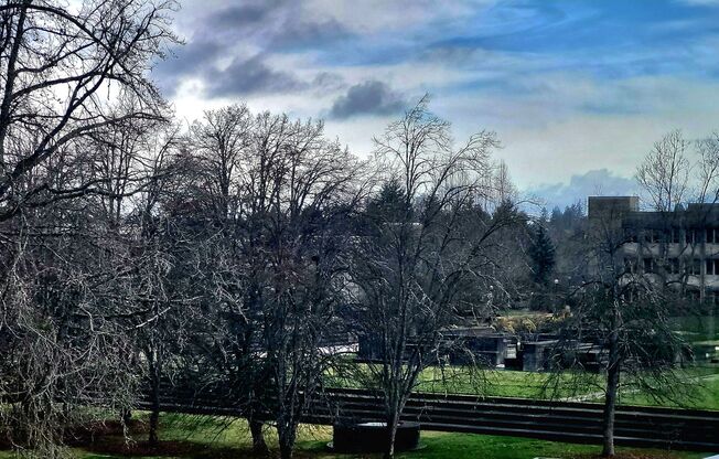 2 beds, 1 bath, 777 sqft, $1,600, Unit 310