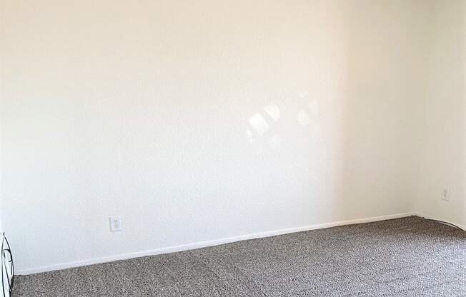 A room with a carpeted floor and a door on the left.