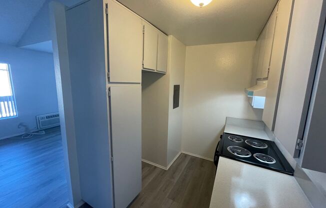 Studio, 1 bath, 450 sqft, $1,650, Unit PEP223