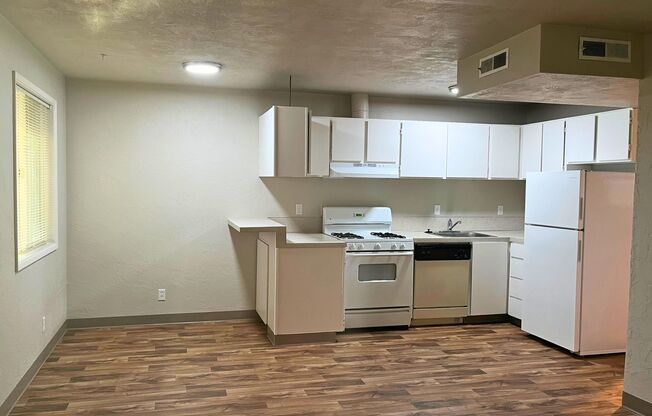 1 bed, 1 bath, 560 sqft, $1,300, Unit 15