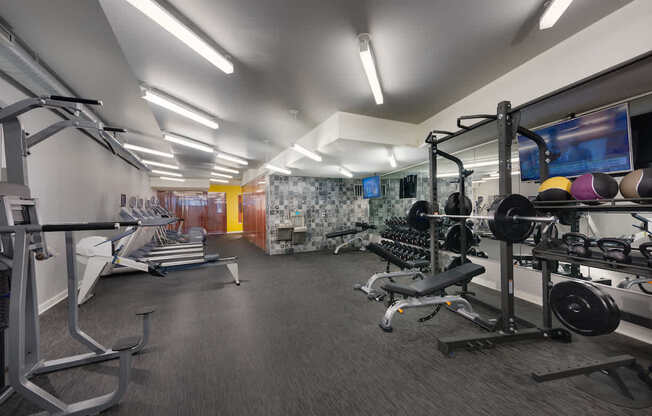 A gym with a variety of equipment including treadmills, weights, and a television.