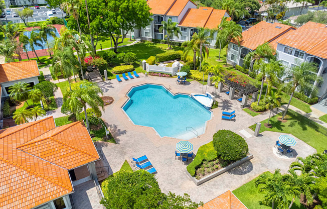 A swimming pool surrounded by palm trees and blue lounge chairs.