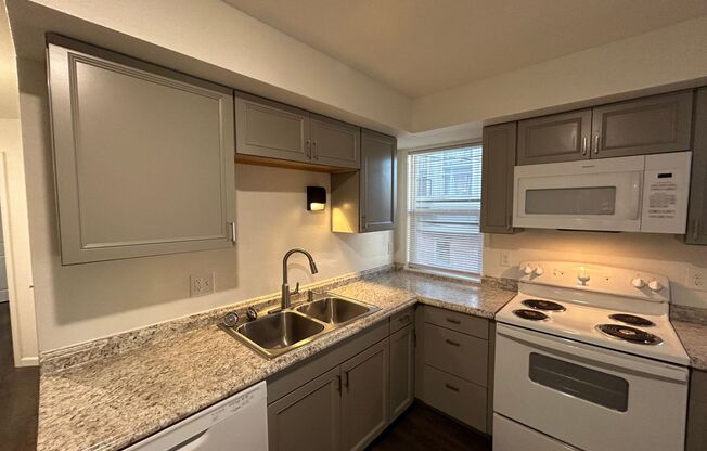 1 bed, 1 bath, 1,000 sqft, $995, Unit Unit A