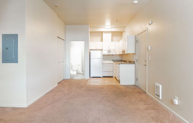 Studio, 1 bath, 438 sqft, $1,100, Unit 1005
