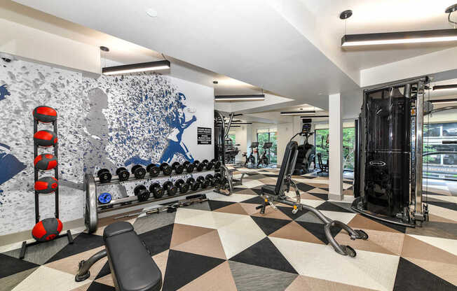 A gym with a black and white checkered floor and a wall with a blue and white mural.