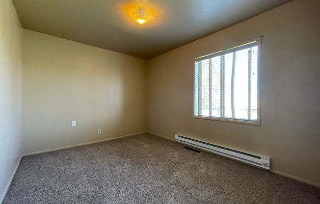 2 beds, 1 bath, $1,675