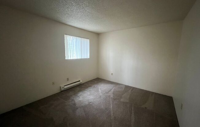 2 beds, 1 bath, 669 sqft, $1,200