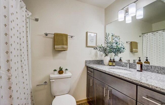 Studio, 1 bath, 430 sqft, $1,375