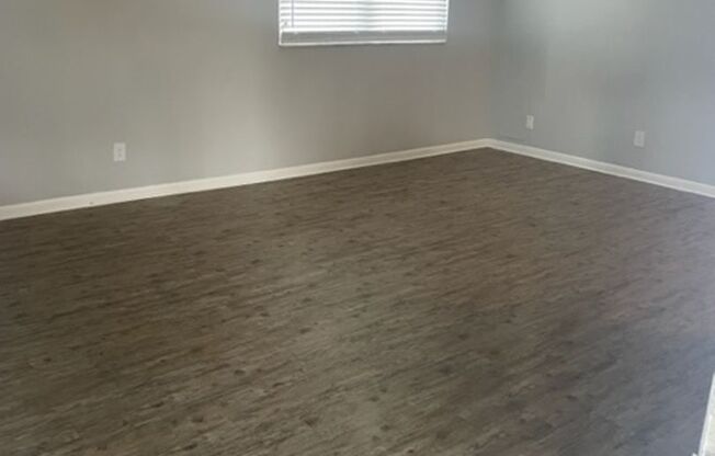 Belleair Palms