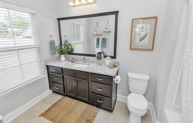 Bathroom with large vanity, mirror, toilet, bathtub, towel bars, and a tall window