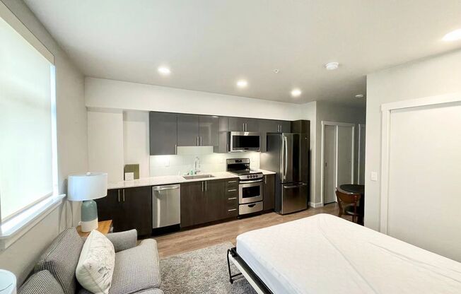 Studio, 1 bath, 406 sqft, $1,895, Unit 1