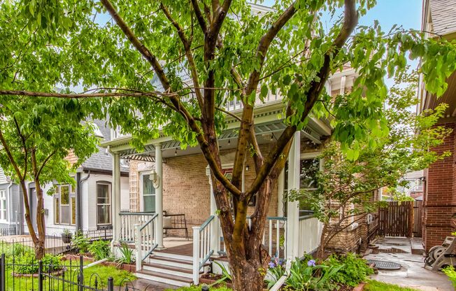 Gorgeous City Park Gem!