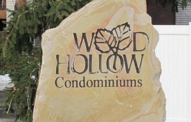 2 beds, 2 baths, $1,600, Unit Wood Hollow Condos