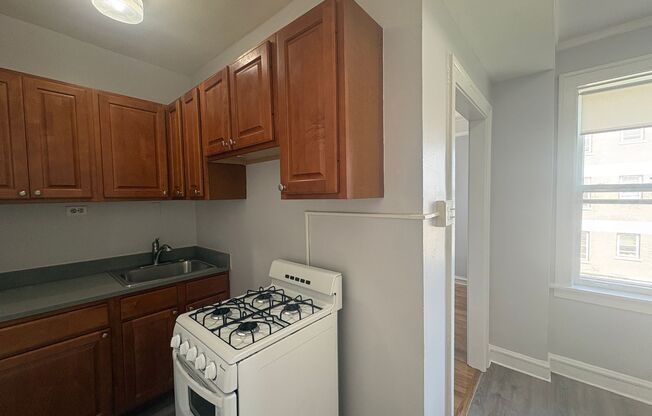 Studio, 1 bath, $1,095, Unit 107