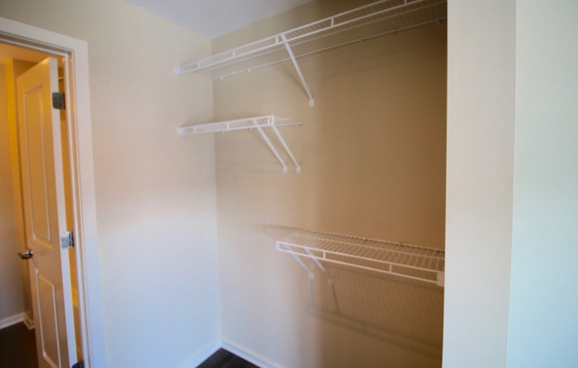 Studio, 1 bath, 404 sqft, $1,195, Unit APT 313