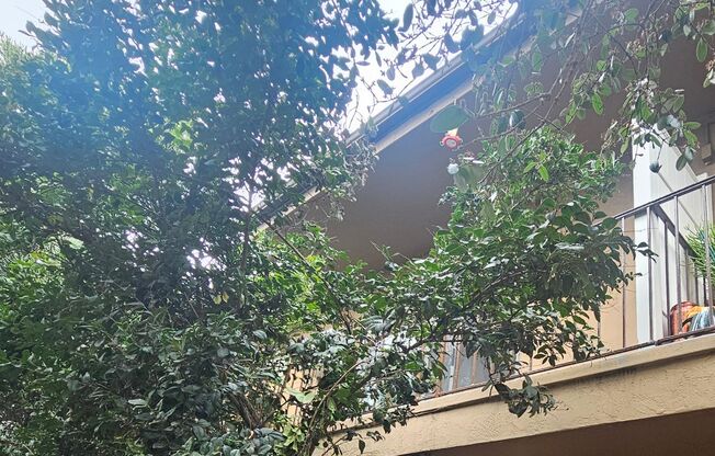 Grossmont Terrace Apartments