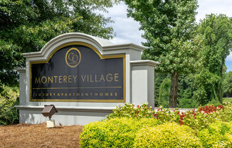 Monterey Village