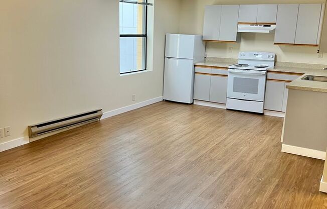 Studio, 1 bath, 393 sqft, $1,295, Unit 318