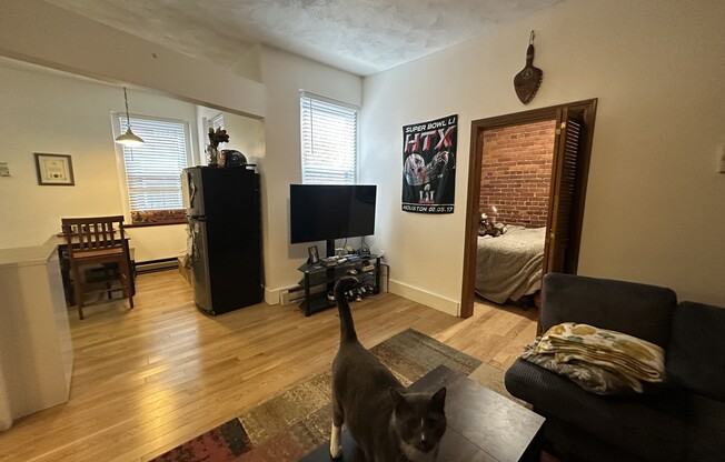 1 bed, 1 bath, 750 sqft, $3,000, Unit 3R