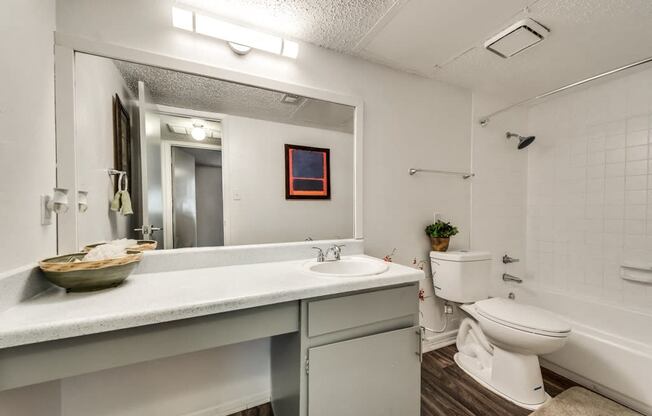 a bathroom with a sink toilet and a mirror
