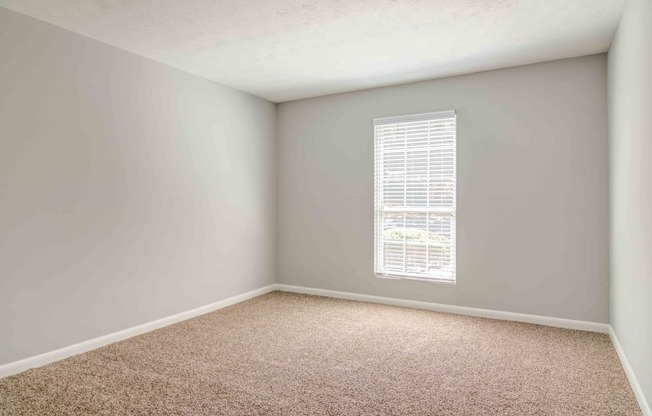 lots of natural light in apartment