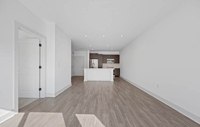 Renovated Living Area and Kitchen