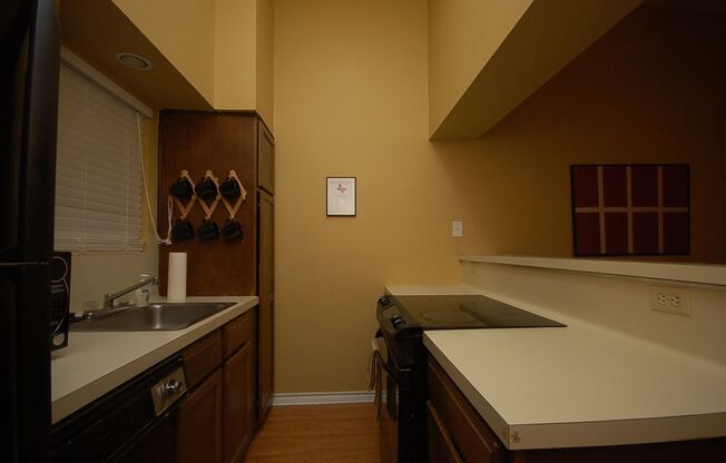 Buena Vista Apt. 312