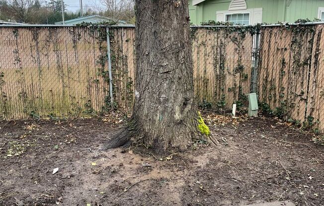 2 beds, 1 bath, 945 sqft, $1,500, Unit 102