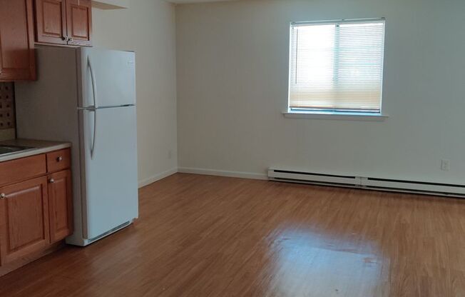 1 bed, 1 bath, 750 sqft, $1,350, Unit Apt 1