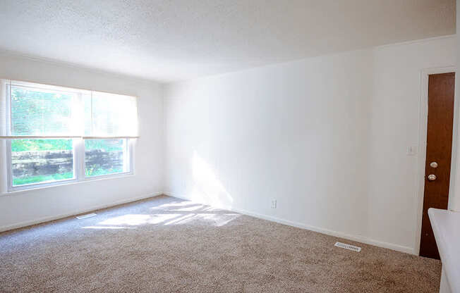 A room with a carpeted floor and a window letting in sunlight.