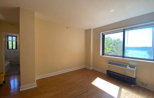 1 bed, 1 bath, 475 sqft, $895, Unit 0406