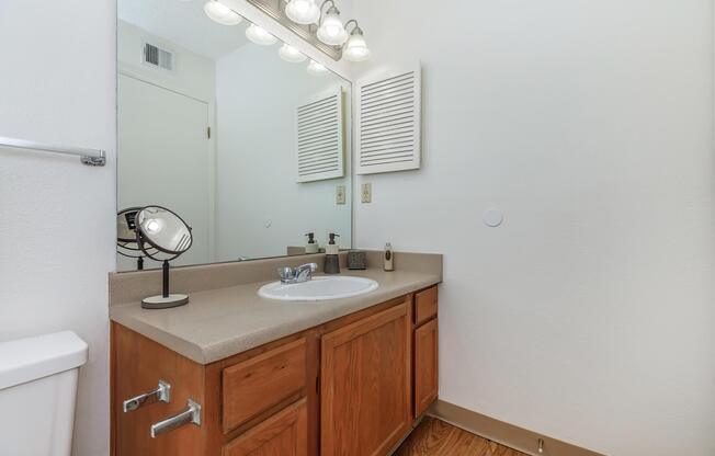 bathroom with wooden floors