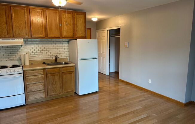 Studio, 1 bath, 450 sqft, $975, Unit Unit 210