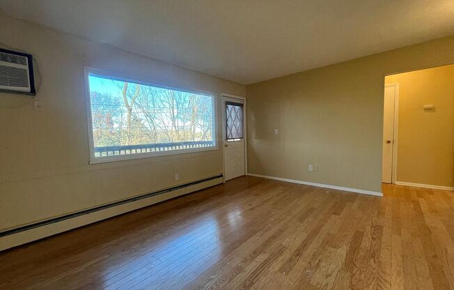 1 bed, 1 bath, 800 sqft, $1,050, Unit Unit 1